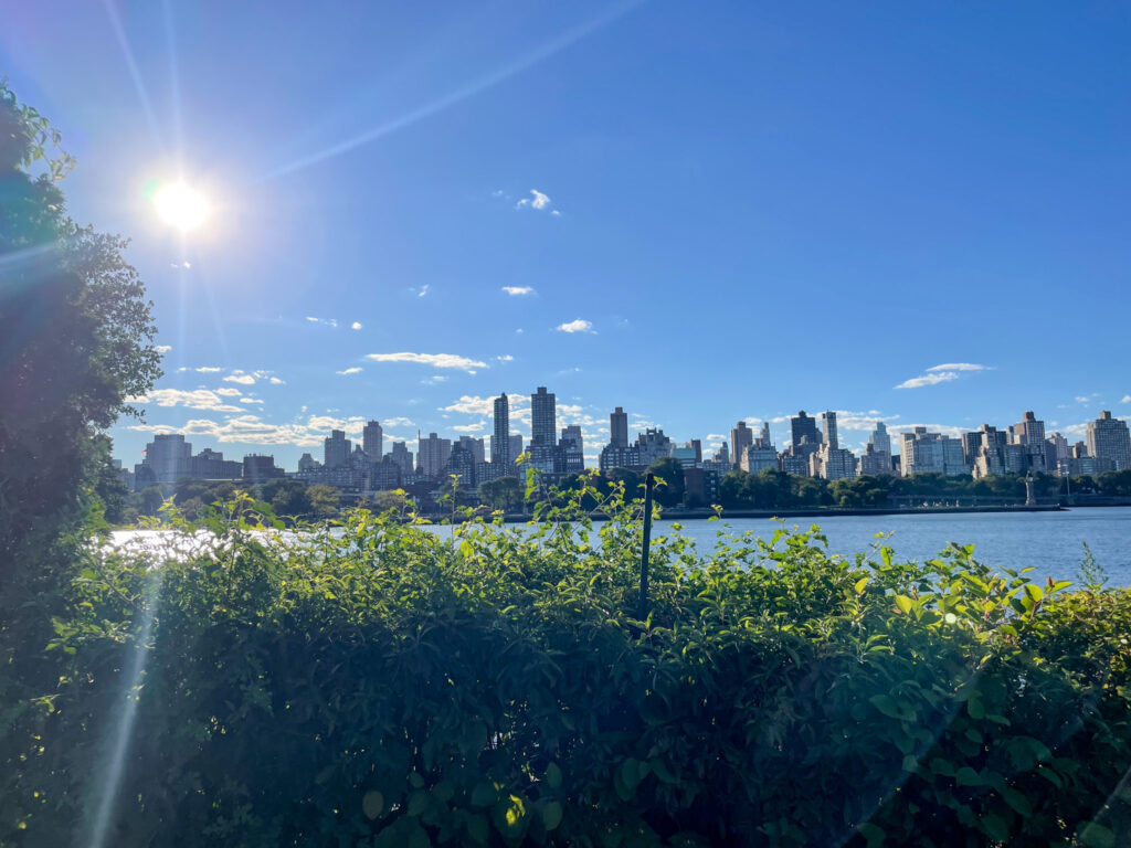 socrates park views