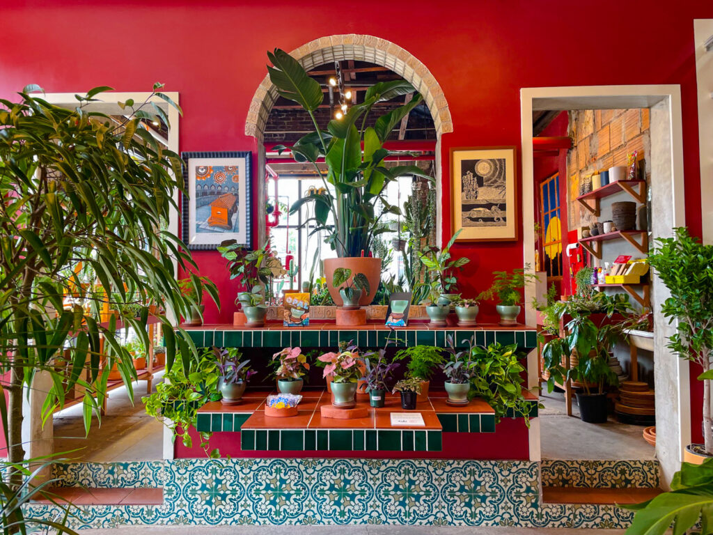 cool plant shops in brooklyn