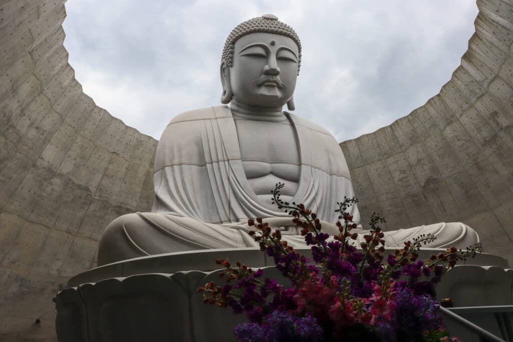 hill of the buddha statue