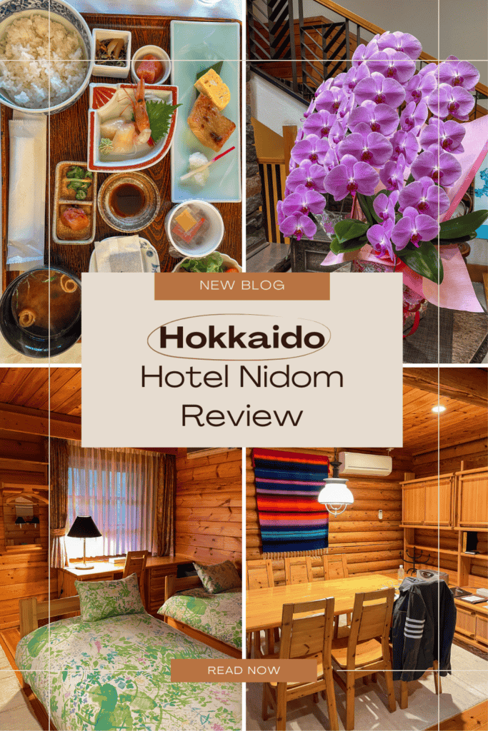Hotel Nidom Review
