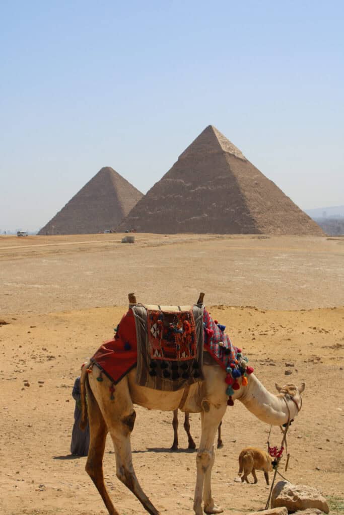 camel ride pyramids