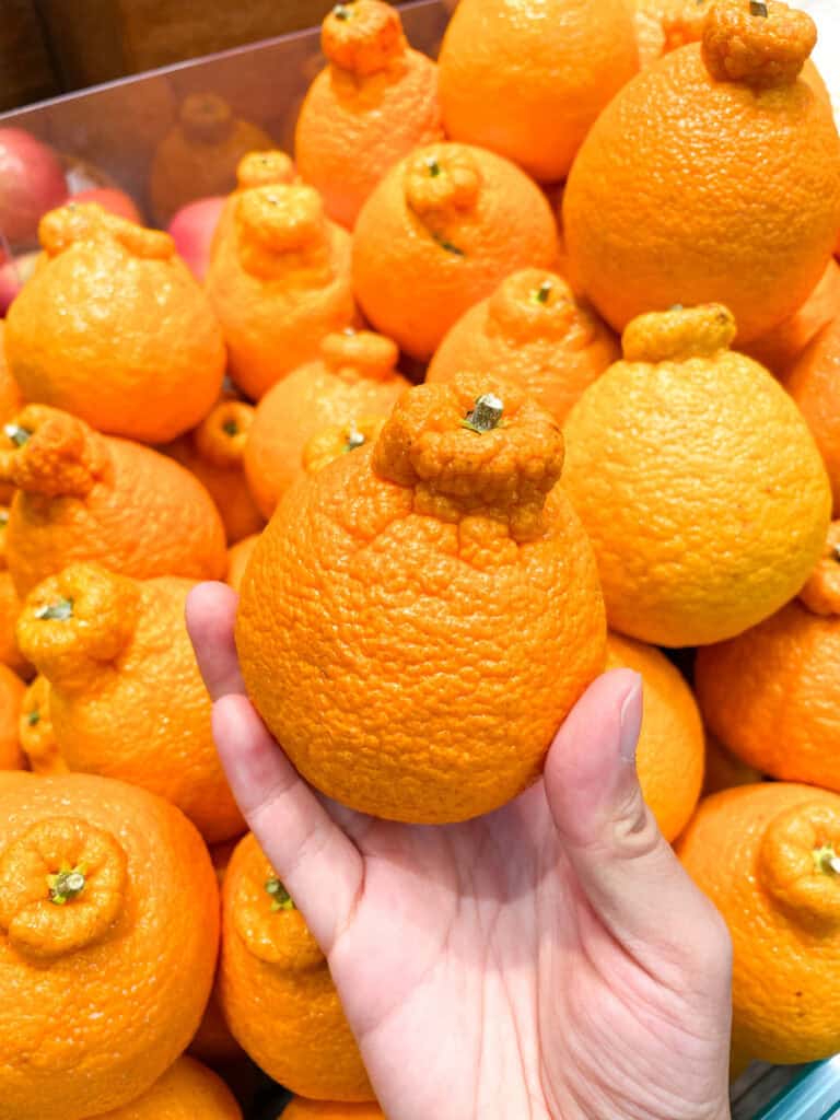 hallabong korean oranges