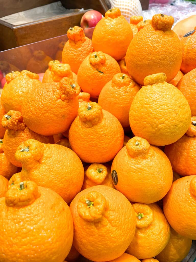 hallabong oranges