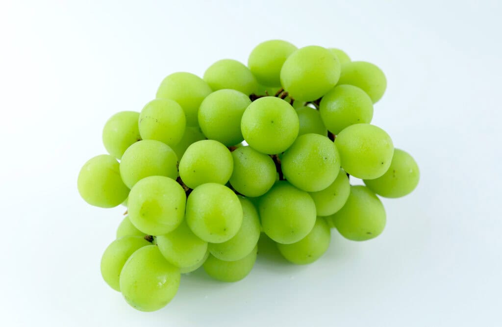 shine muscat grapes south korean fruit