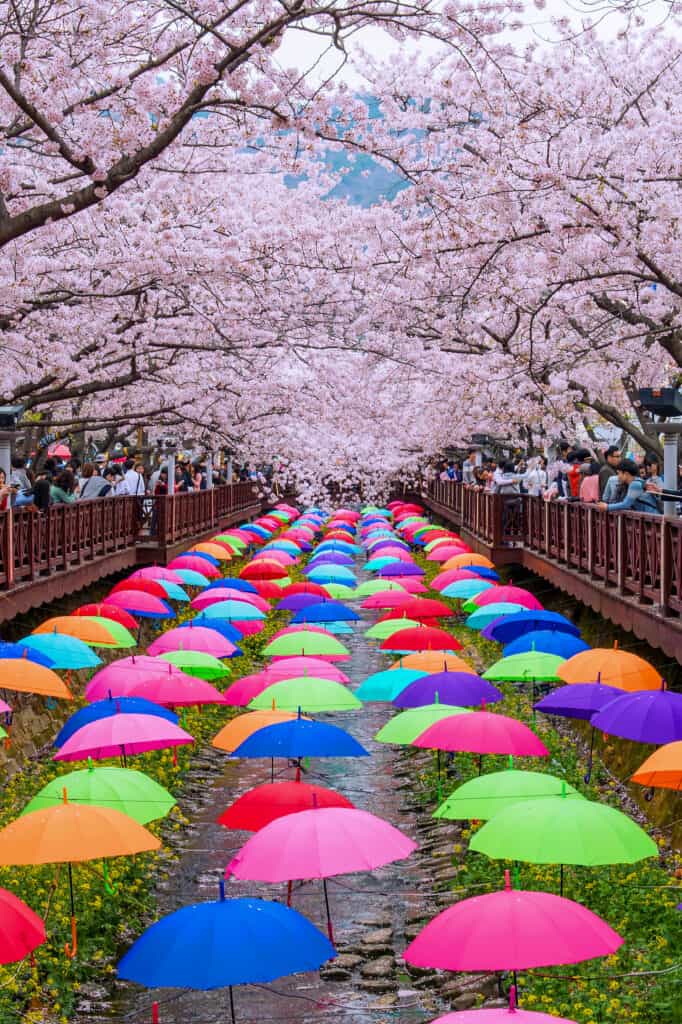 korea in spring